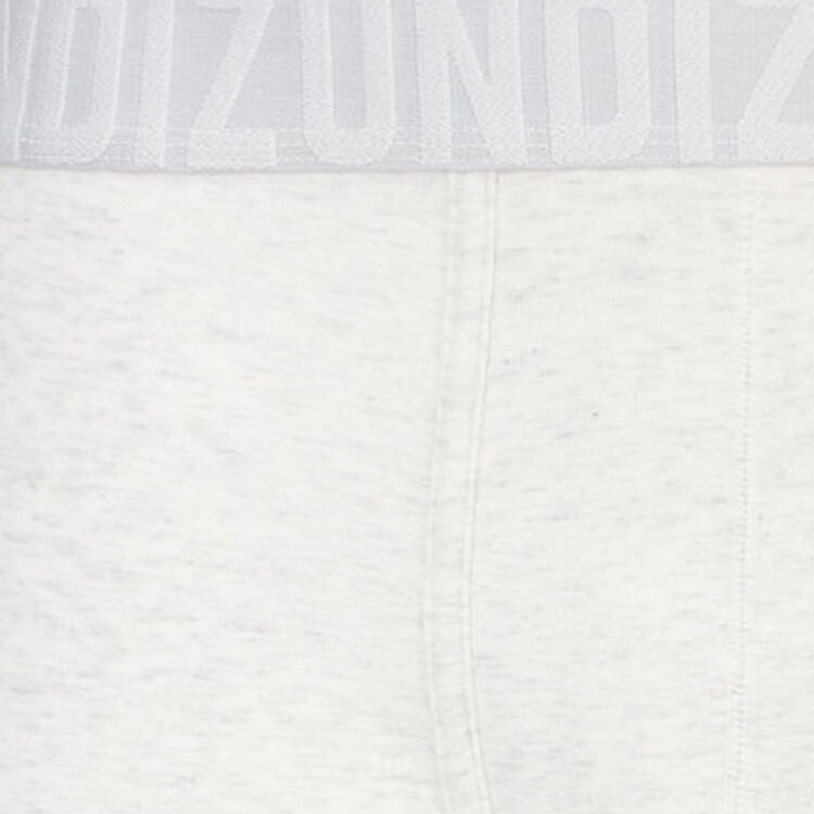 Bóxer gris oreliz Bóxer gris oreliz;