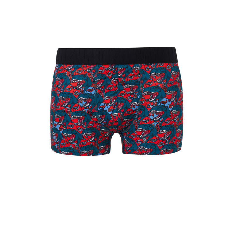 Bóxer con estampado dedeiz Bóxer con estampado dedeiz;