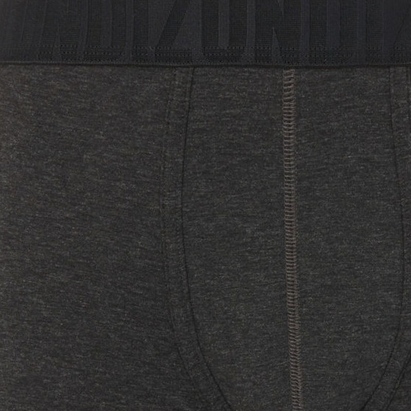 Bóxer gris oreliz Bóxer gris oreliz;
