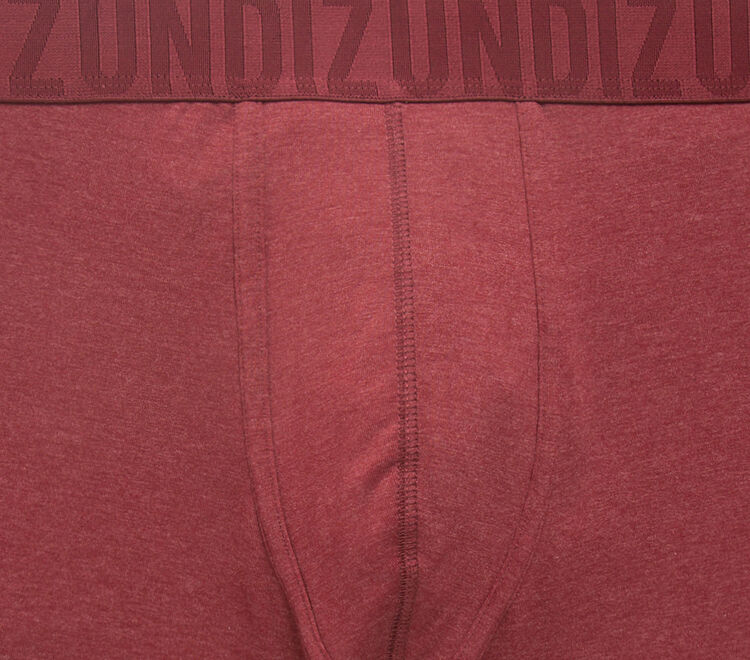Bóxer burdeos oreliz Bóxer burdeos oreliz;