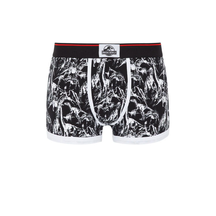 Boxer noir dinomarbriz Boxer noir dinomarbriz;