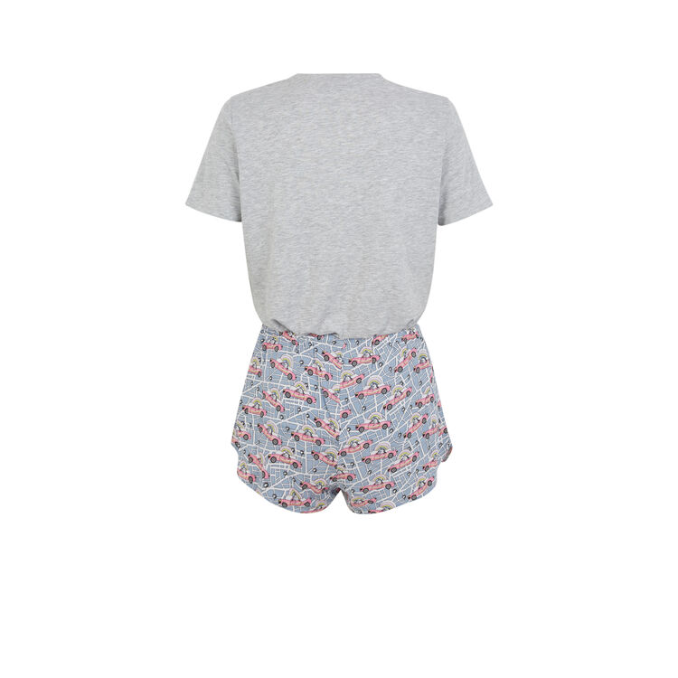 Conjunto gris interubercorniz grey.