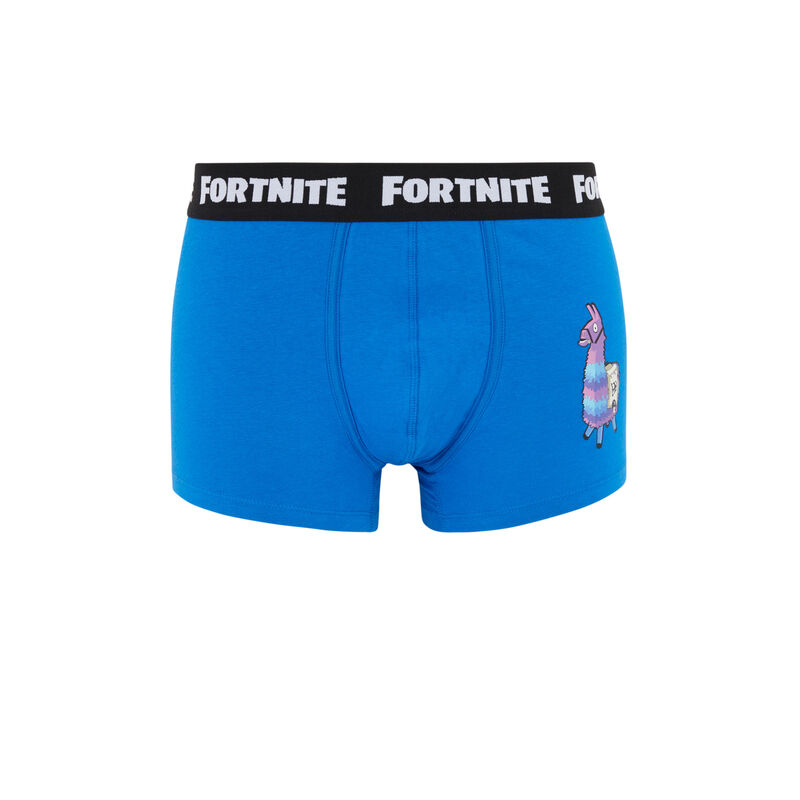 Boxer print Fortnite FORTNITIZ Boxer print Fortnite FORTNITIZ;