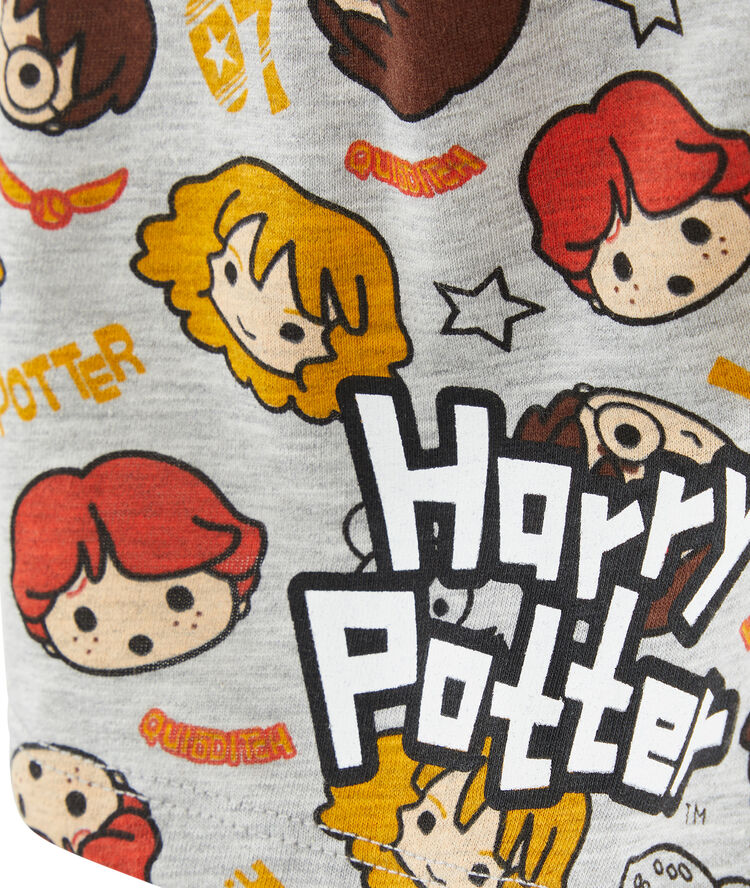 Camiseta de manga corta harry potter allharriz gris.