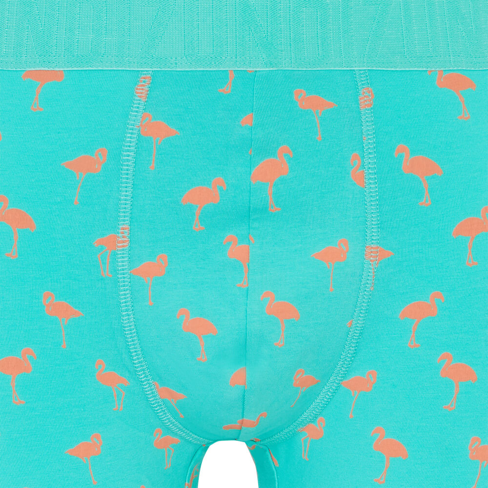 Boxer en coton - vert vert.