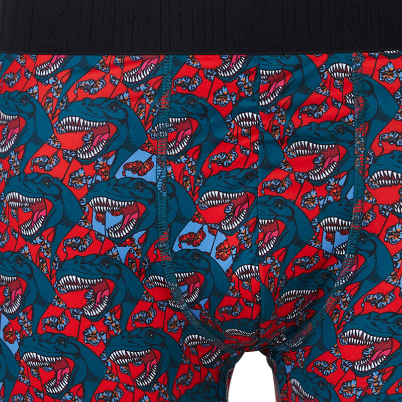Bóxer con estampado dedeiz Bóxer con estampado dedeiz;