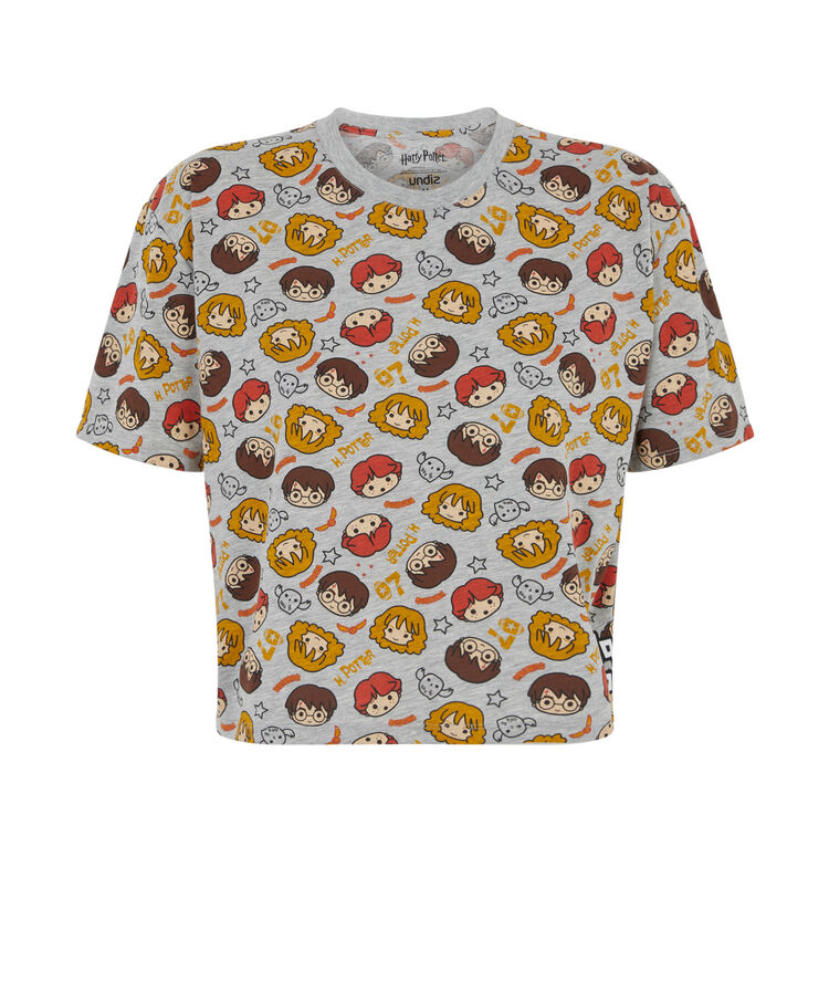 Camiseta de manga corta harry potter allharriz gris.