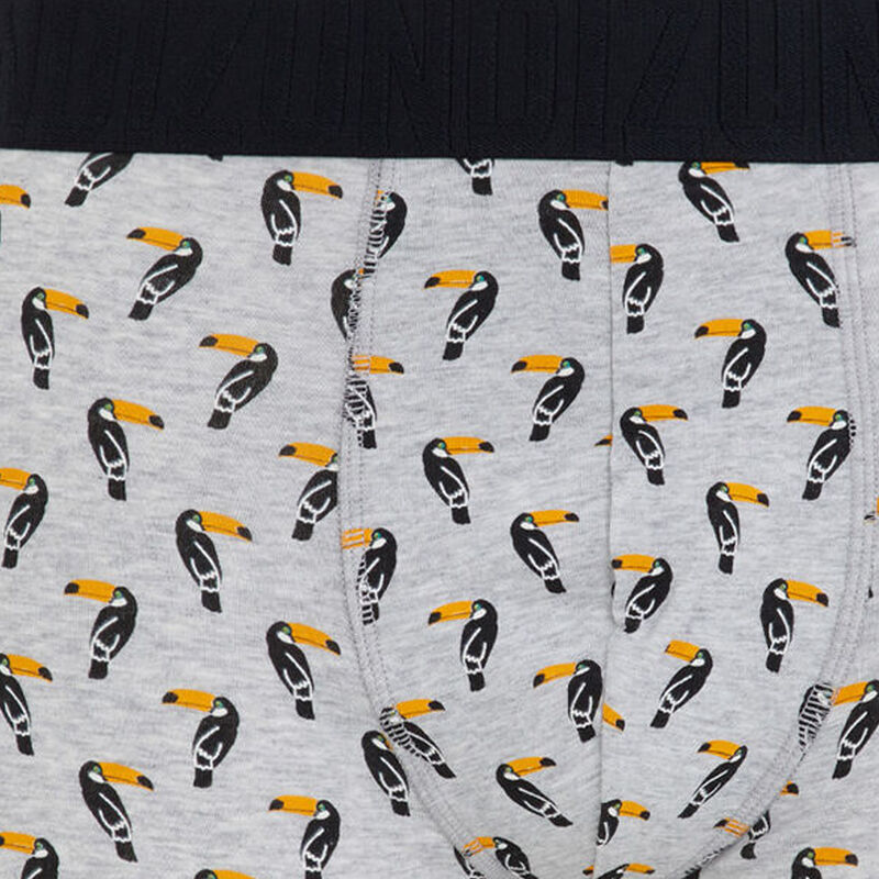 Bóxer gris toucaniz Bóxer gris toucaniz;