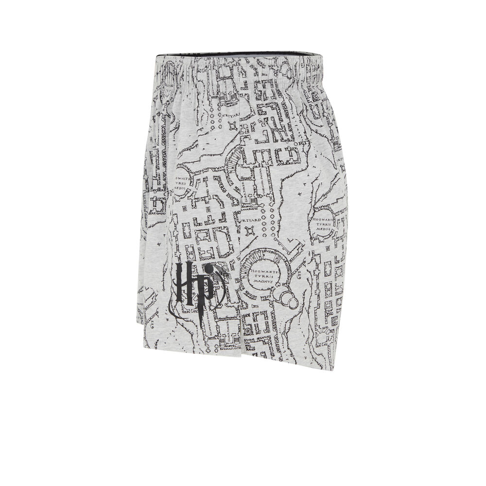Bóxer estampado potter - gris gris.